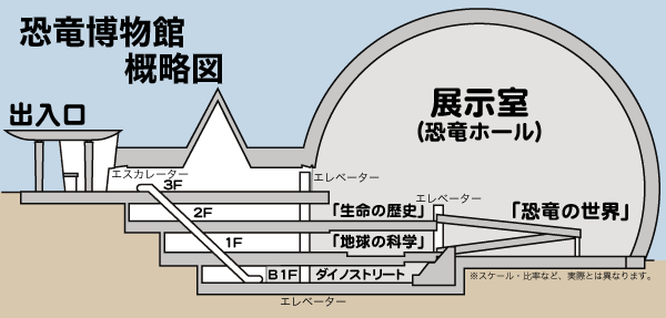 福井恐竜博物館全体図