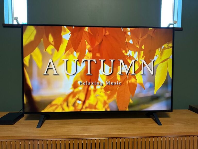 レビュー LG液晶テレビは最安モデルを買うのがおすすめ NANO75JPA カラクリンカム ガジェットレビューとキャンプギアでテレワーク